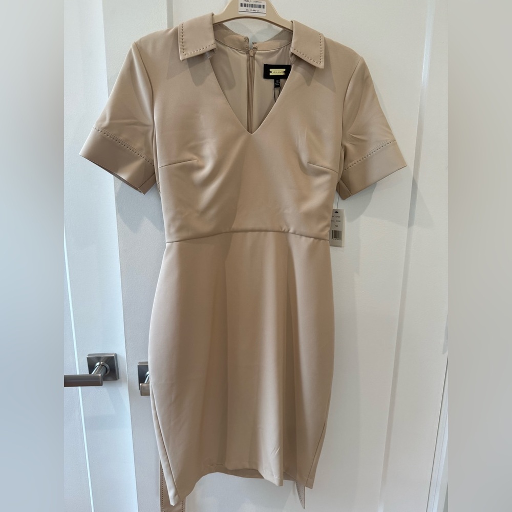 BNWT Alexia Admor Cream V-Neck Dress